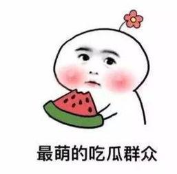 吐槽娱乐吃瓜酱的句子